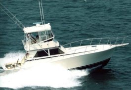 Reel Action Sportfishing Charters
