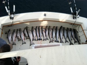 The catch is only one indicator of the best charter fishing on Lake Michigan.